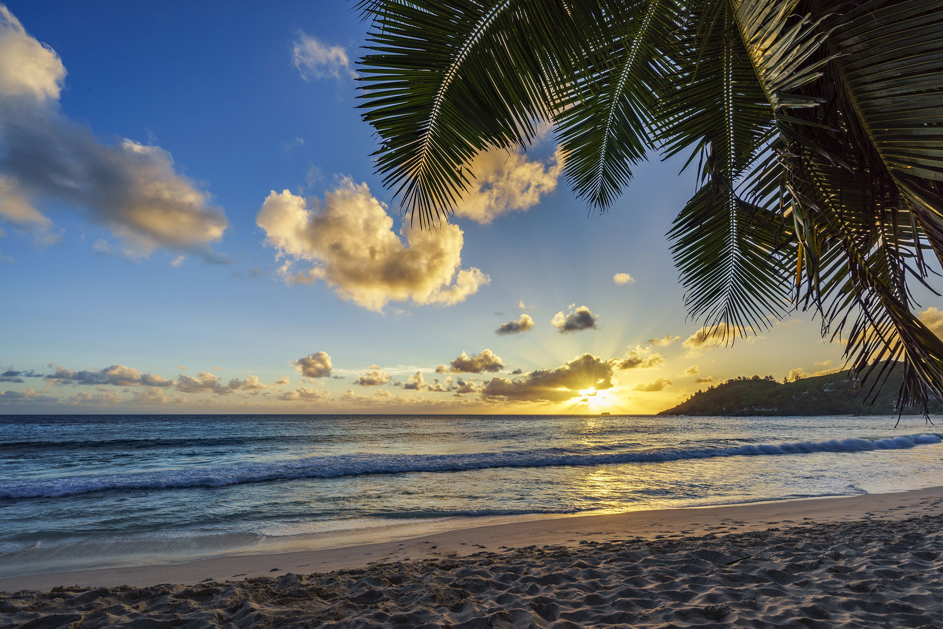 

Aeon Premium Hospitality Services 184592206