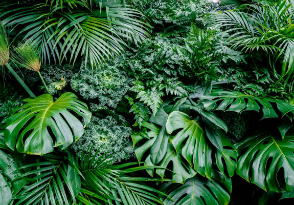 

Aeon Premium Hospitality Services 379399330