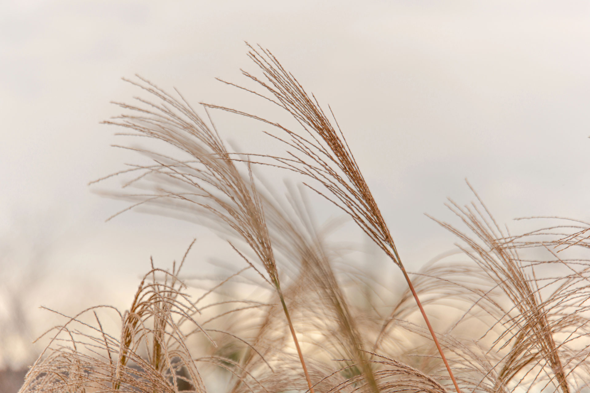 

Aeon Premium Hospitality Services 418023692