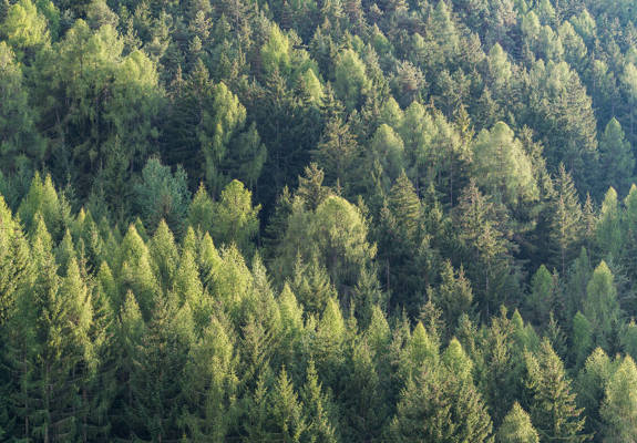 

Aeon Premium Hospitality Services 195625202